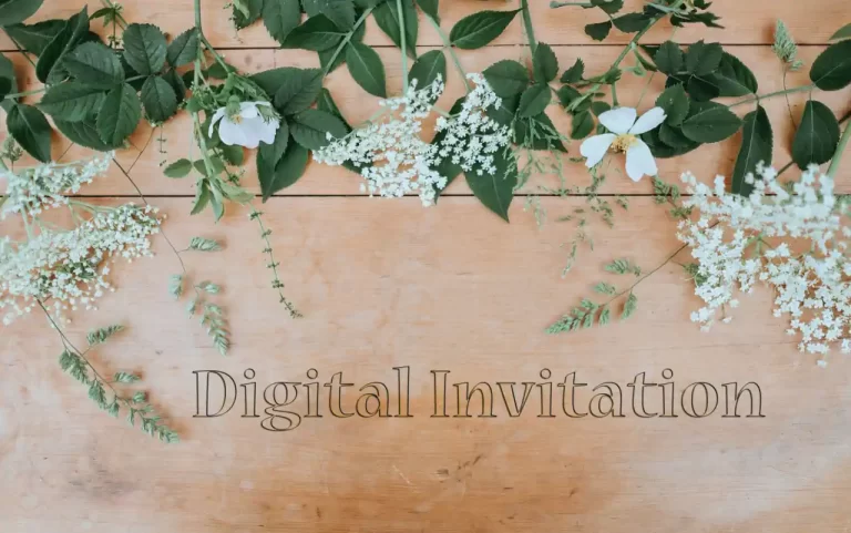 Best Digital Invitation designers in Indore , India